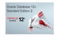 30 ноября – последний день заказов Oracle Database Standard Edition и Oracle Database Standard Edition One